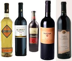 vinos.jpg